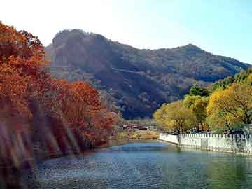 练武巅峰，巅峰之路的免费阅读之旅